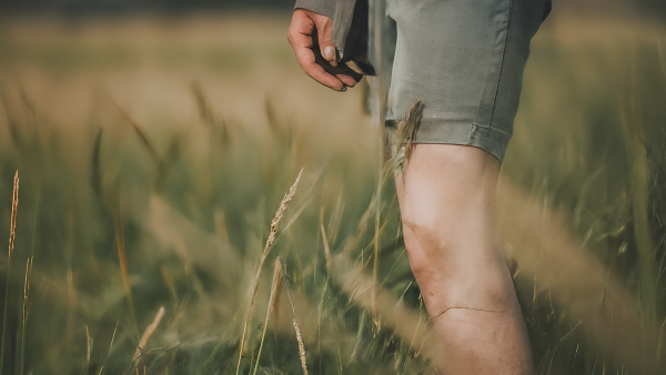 Tüberküloz Tedavisinde İlaç Kullanımının Hayati Önemi