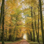 İnancımı Kaybetmekten Öğrendiklerim: Gerçekten Canlı Olmak