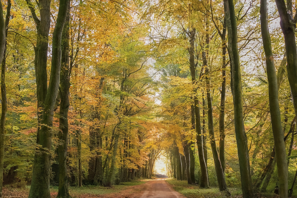 İnancımı Kaybetmekten Öğrendiklerim: Gerçekten Canlı Olmak