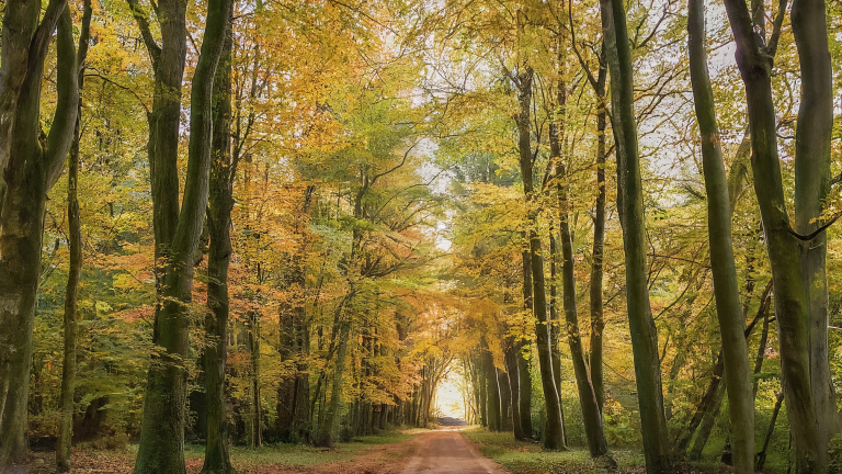 İnancımı Kaybetmekten Öğrendiklerim: Gerçekten Canlı Olmak